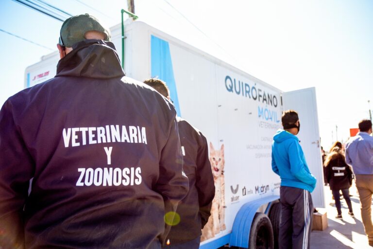 Madryn tendrá nuevas campañas de vacunación y desparasitación para perros y gatos