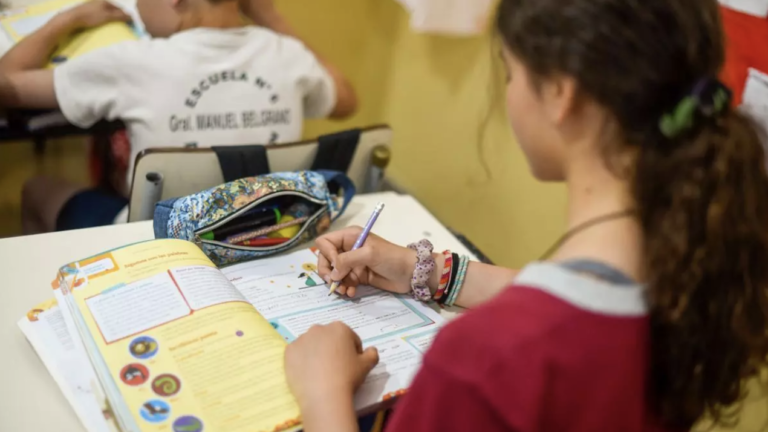 Segregación educativa: en las escuelas estatales hay más diversidad socioeconómica