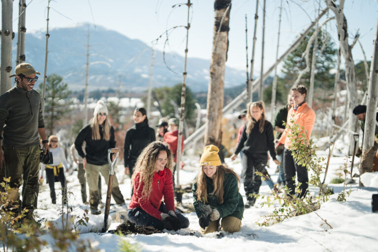 La urgencia de recuperar los bosques patagónicos ante los incendios
