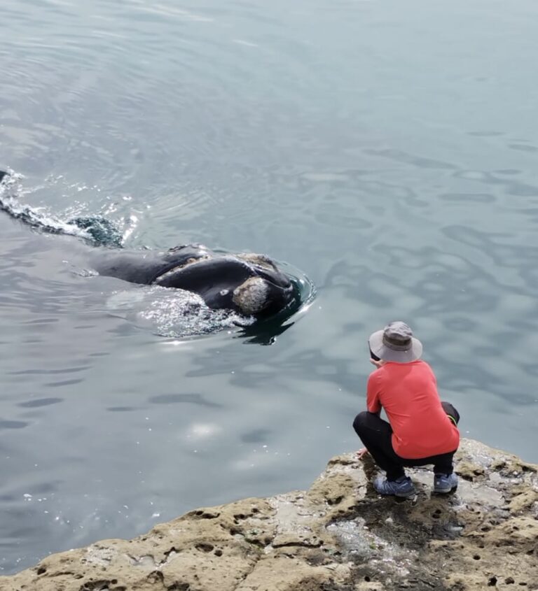 Mountain Bike y Trekking: Conectando con la Naturaleza en Península Valdés