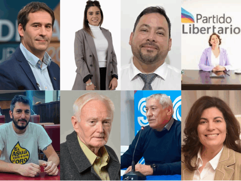 ¿Quiénes son los candidatos a diputados nacionales por Chubut?