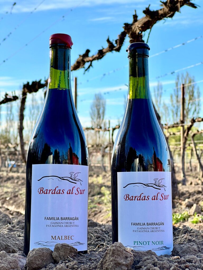Bardas al Sur: un sueño familiar convertido en vino patagónico