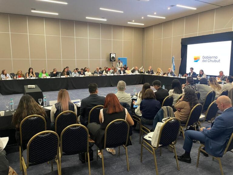 Pirámides gana presencia en el Consejo de Responsabilidad Fiscal
