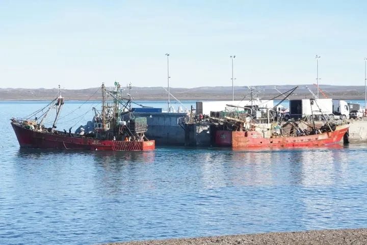 Temporada de merluza: una gran oportunidad para Camarones