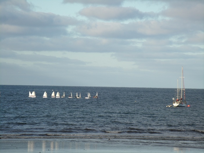 Bitácoras patagónicas: Un sueño de ballenas
