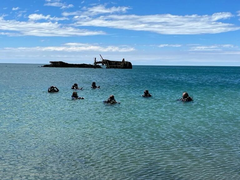 Un arrecife con identidad patagónica: Puerto Madryn impulsa un parque subacuático inédito para el buceo