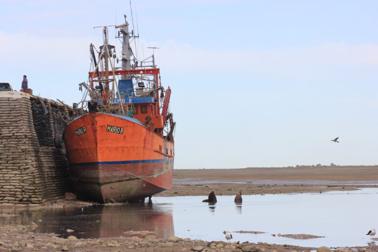 Bitácoras Patagónicas: Un ciclo de vida