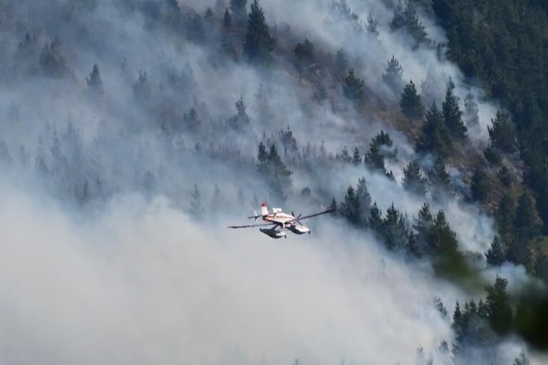 Incendios en la cordillera de Chubut: refuerzos y posible Emergencia Nacional