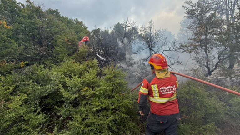 Incendios en la Patagonia: Esquel refuerza el operativo mientras se debate la Emergencia Ígnea