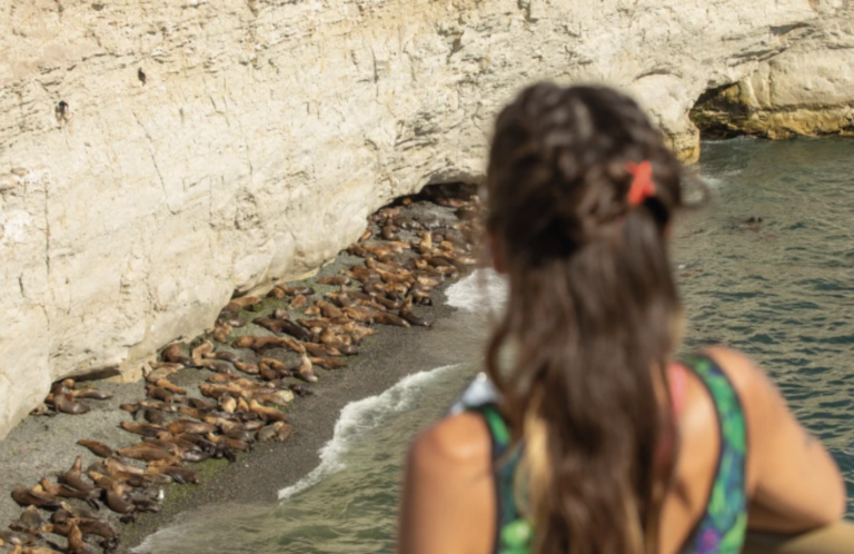 Punta Loma: el mirador natural para ver lobos marinos a minutos de Puerto Madryn