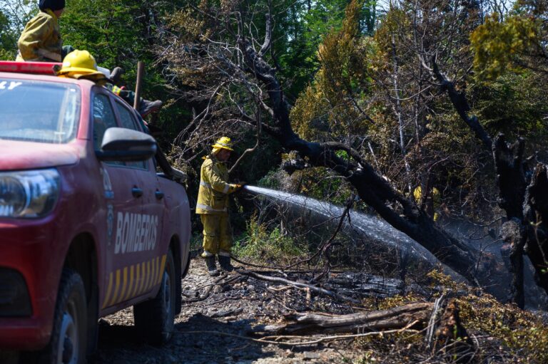 Chubut: el Gobierno confirmó que los incendios en la cordillera están controlados y contenidos